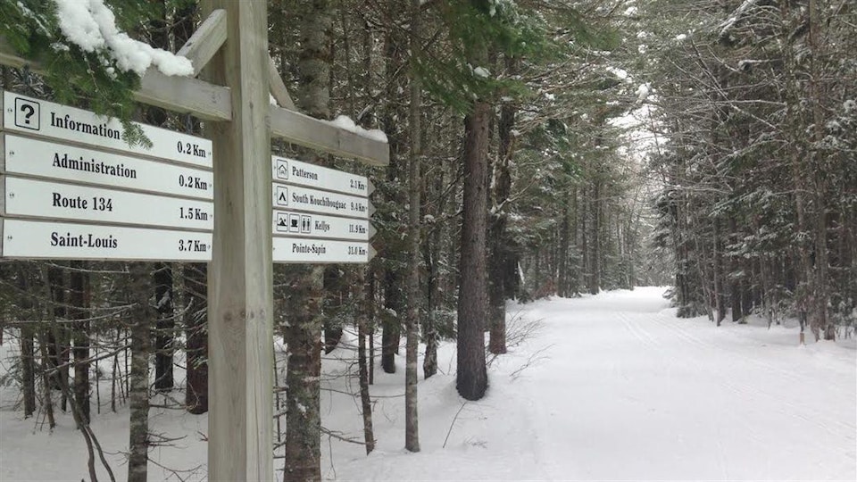 Les activités hivernales du Parc national Kouchibouguac