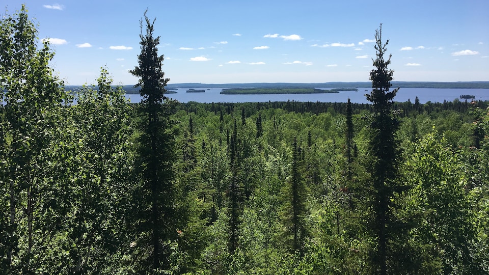 Une vue sur un lac et la forêt boréale.