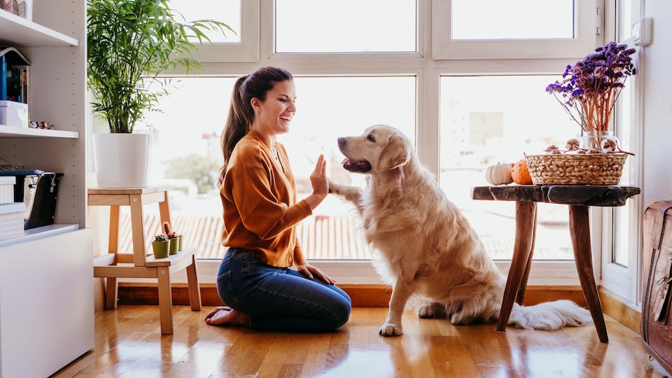 Un femme touche la patte de son chien avec sa main.