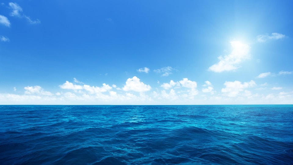 Vue de l'océan à perte de vue sous un ciel bleu.