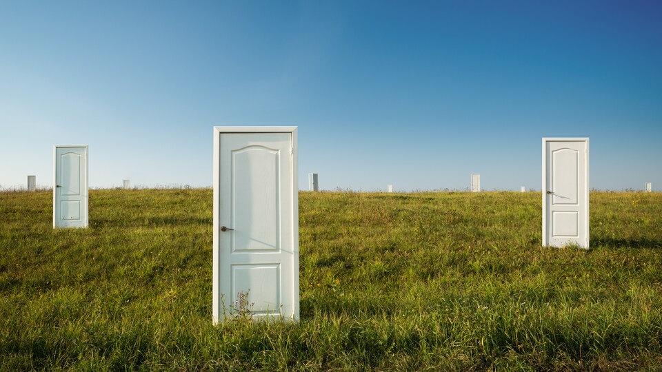 Plusieurs portes dans un champ.