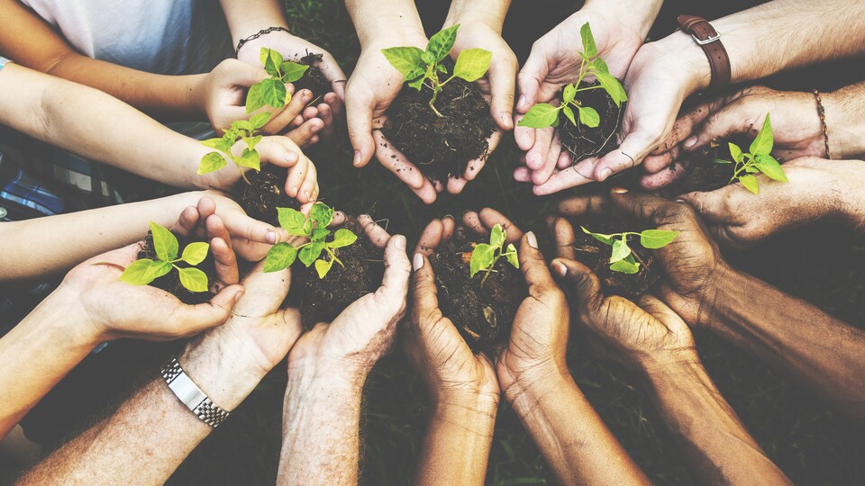 Plusieurs personnes, qui ont des pousses d'arbres en terre dans le creux de leurs deux mains jointes, mettent en commun toutes ces mains.