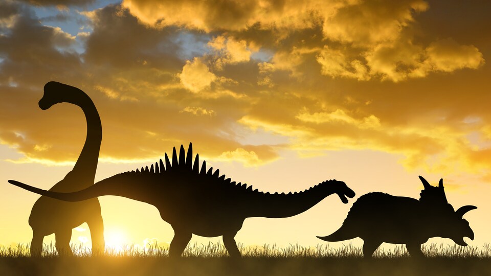 Silhouettes de dinosaures au coucher de soleil.