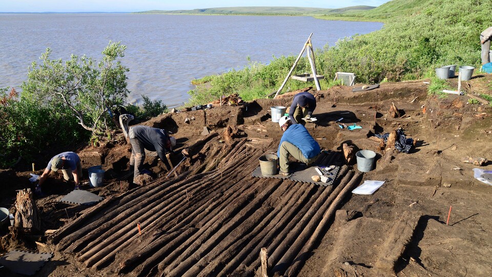 Une demi-douzaine de personnes mènent des excavations sur un site archéologique situé en bordure de mer.