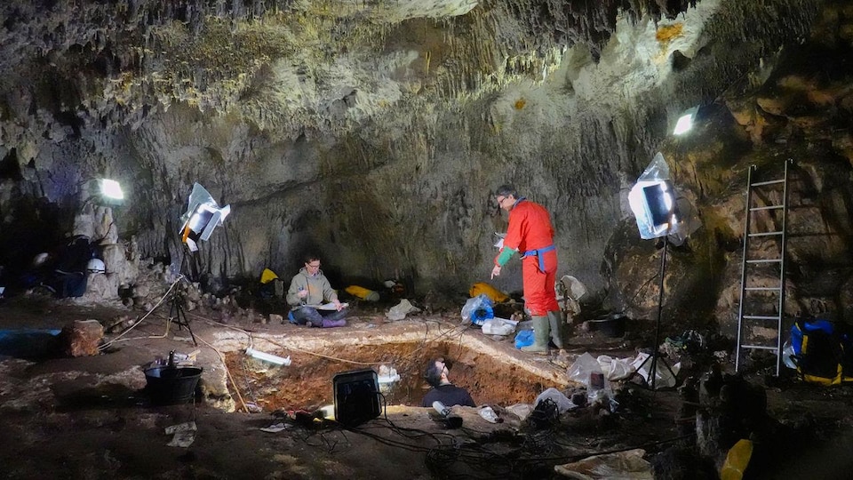 Des chercheurs excavent des sédiments d'une tranchée dans une caverne.