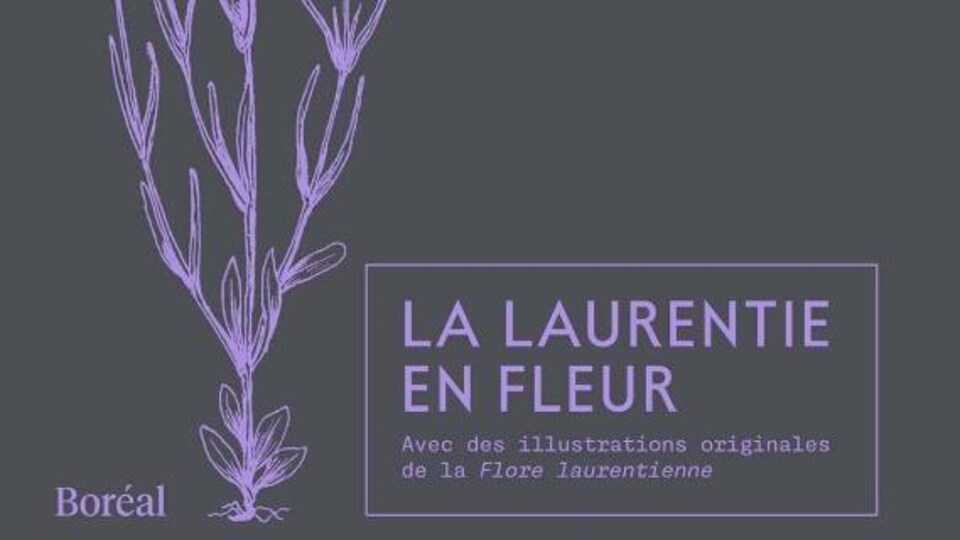 La page couverture du livre La Laurentie en fleur paru chez Boréal.