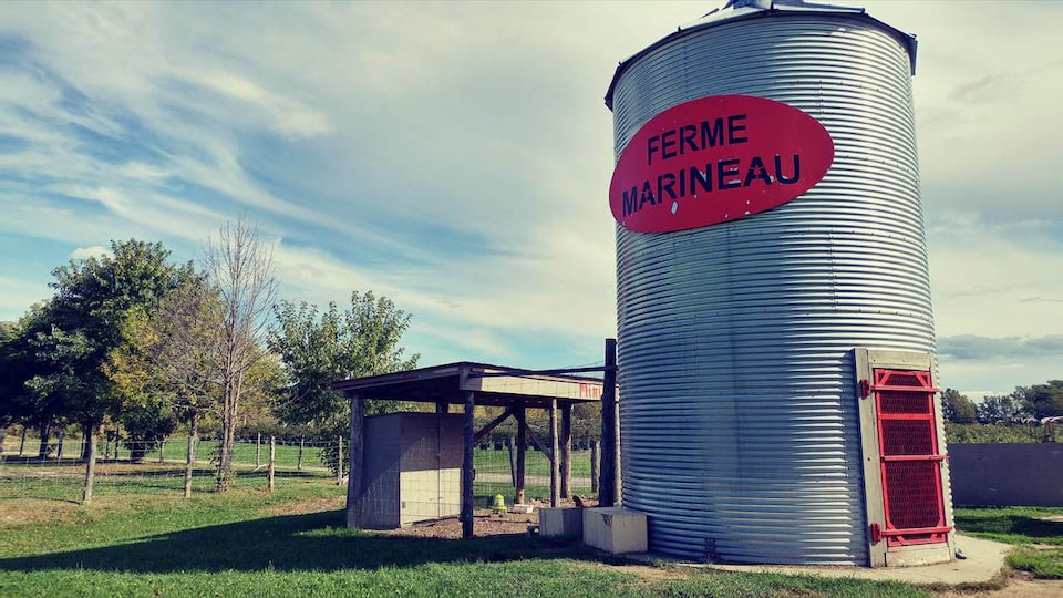 La ferme Marineau.