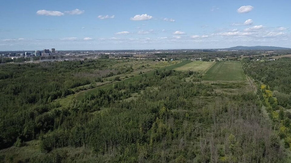 Vue aérienne du lot.