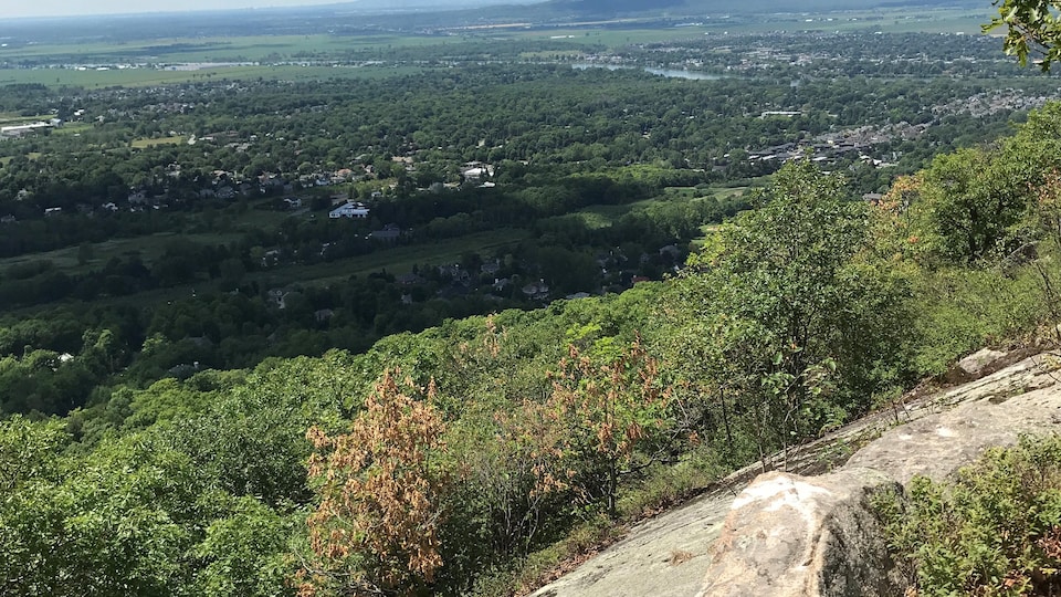 Revers à MontStHilaire pour empêcher un développement résidentiel