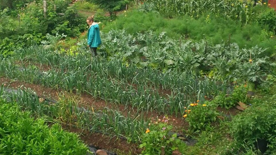Les Jardins de Forillon