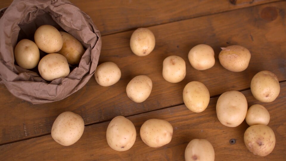 Des pommes de terre grelots dans un sac et sur une table.