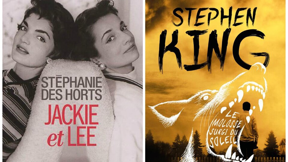 Deux couvertures de livres.