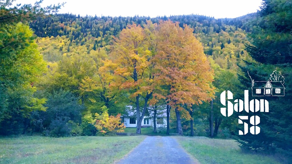 Une maison dissimulé derrière des arbres