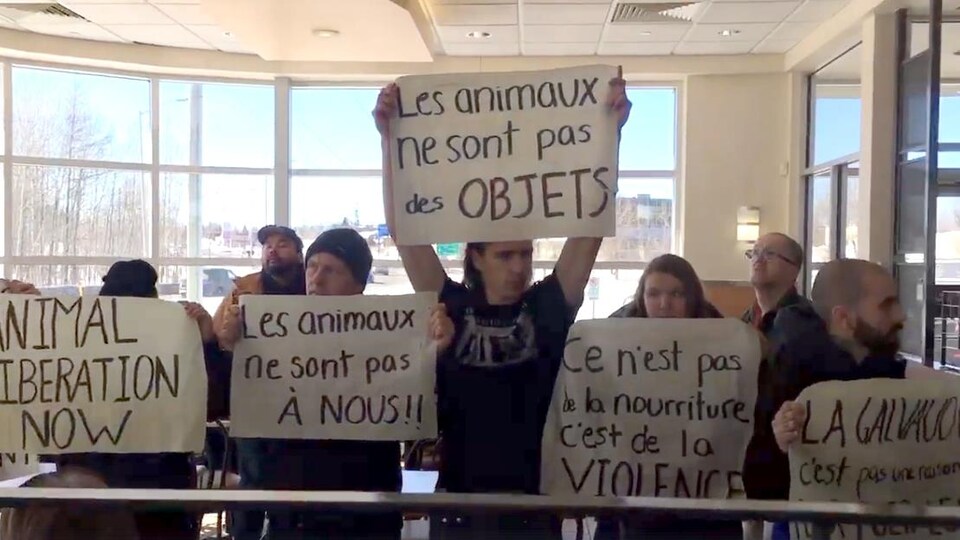 Des militants de DxE Montréal dans un restaurant Ashton de Québec.