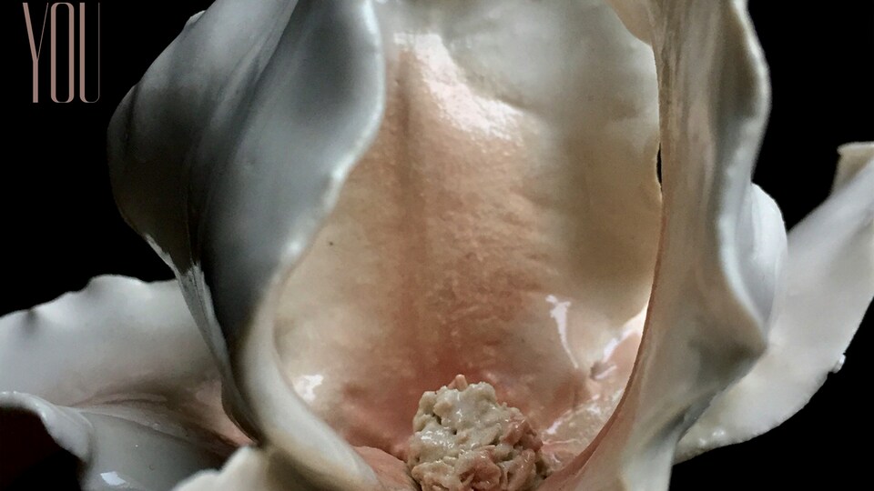 Fleurs aux pétales de porcelaine de couleurs blanche et beige.