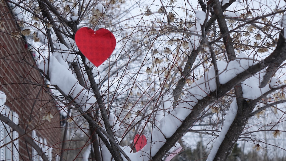 Un coeur rouge en carton est accroché à la branche d'un arbre enneigé.