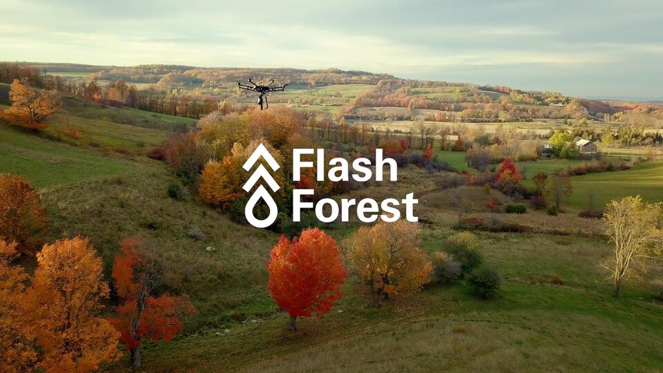 Photo d'un drone survolant une zone boisée.