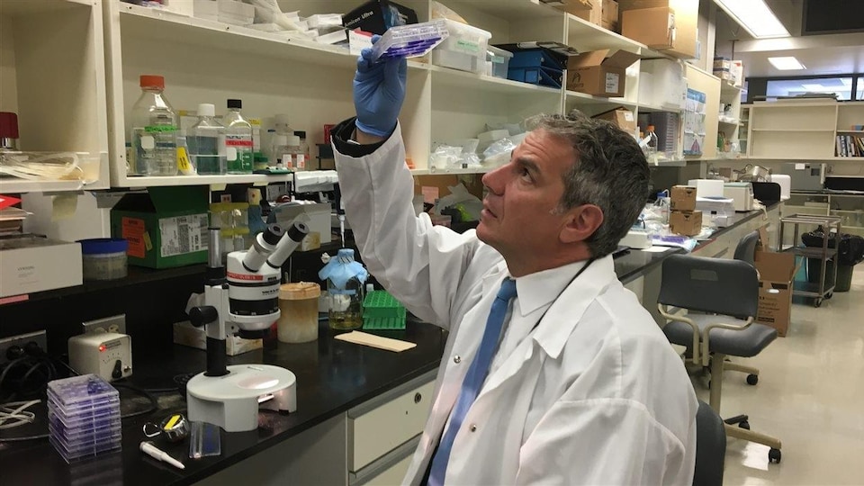 Gary Kobinger tient des échantillons dans un laboratoire.