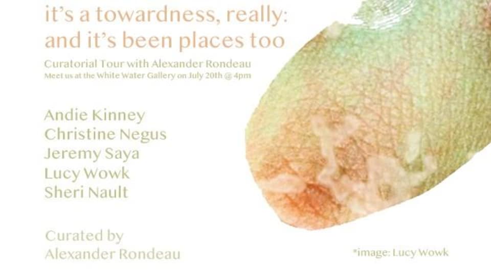Image promotionnelle de l'exposition « it's a towardness, really: and it's been places too »