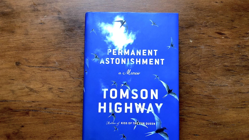 Page couverture du livre « Permanent Astonishment »