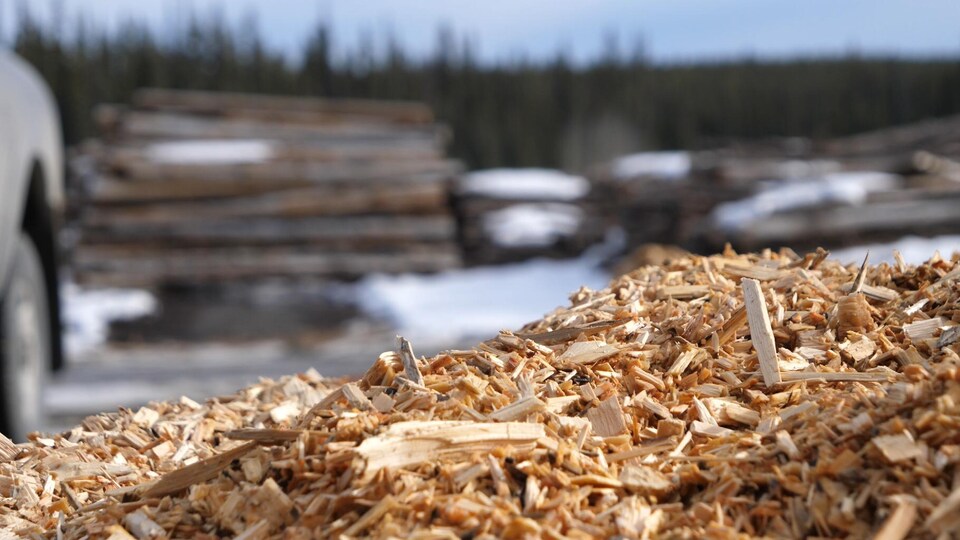 Une photo prise de près de nombreux copeaux de bois dans une scierie.