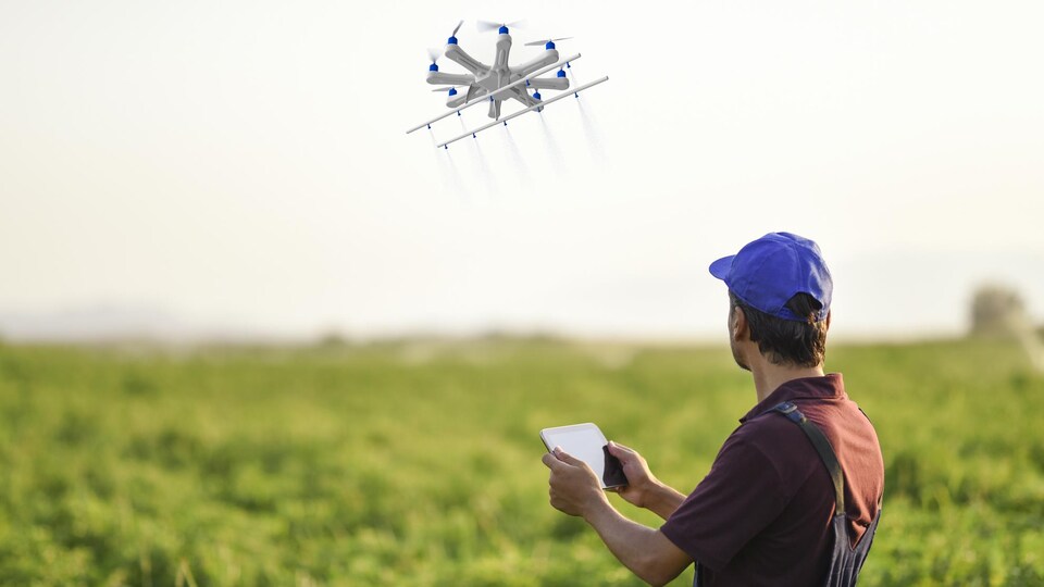 Une personne qui se trouve dans un champ contrôle un drone à distance.