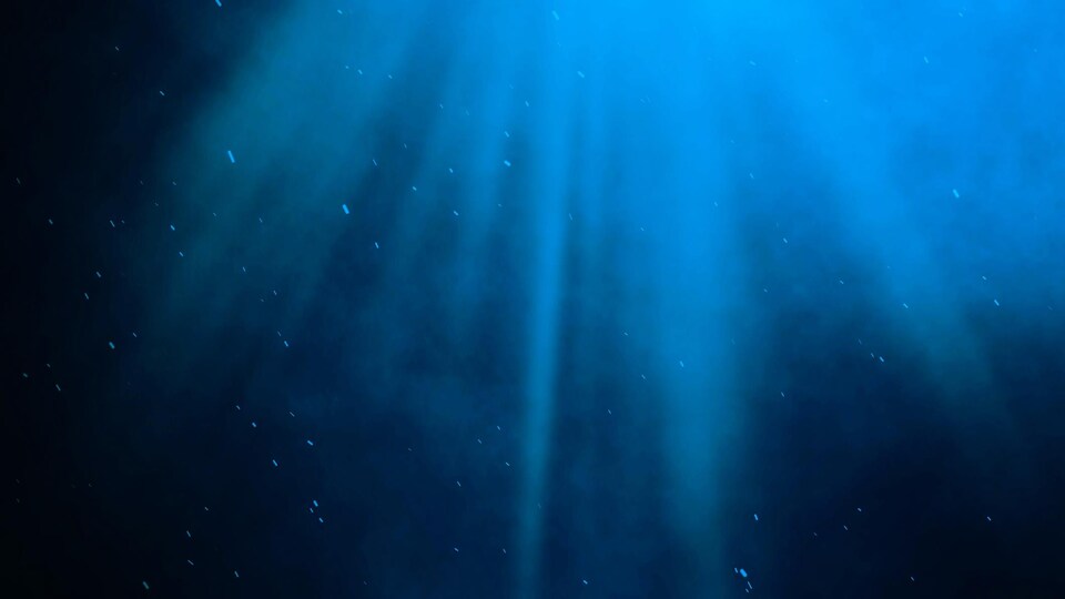 Une photo prise dans un océan avec la lumière du jour qui perce l'obscurité abyssale.
