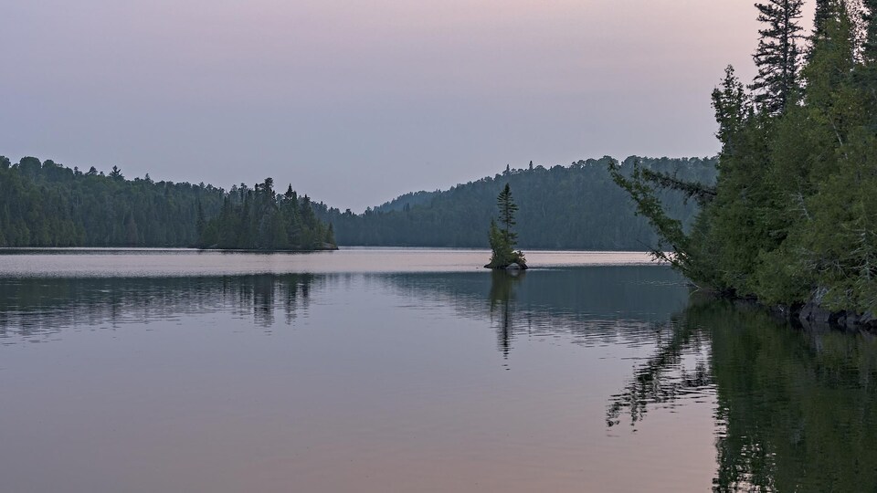 Un lac à l'eau calme est bordé d'arbres.