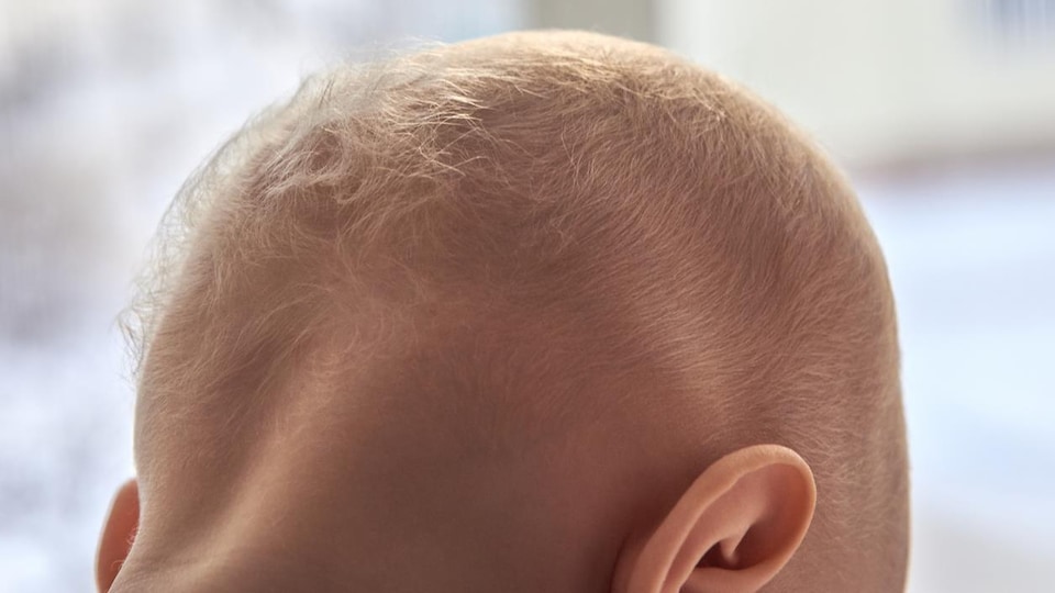La science derrière les angéliques cheveux de bébé