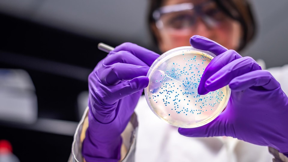 Une personne manipule des instruments en laboratoire.