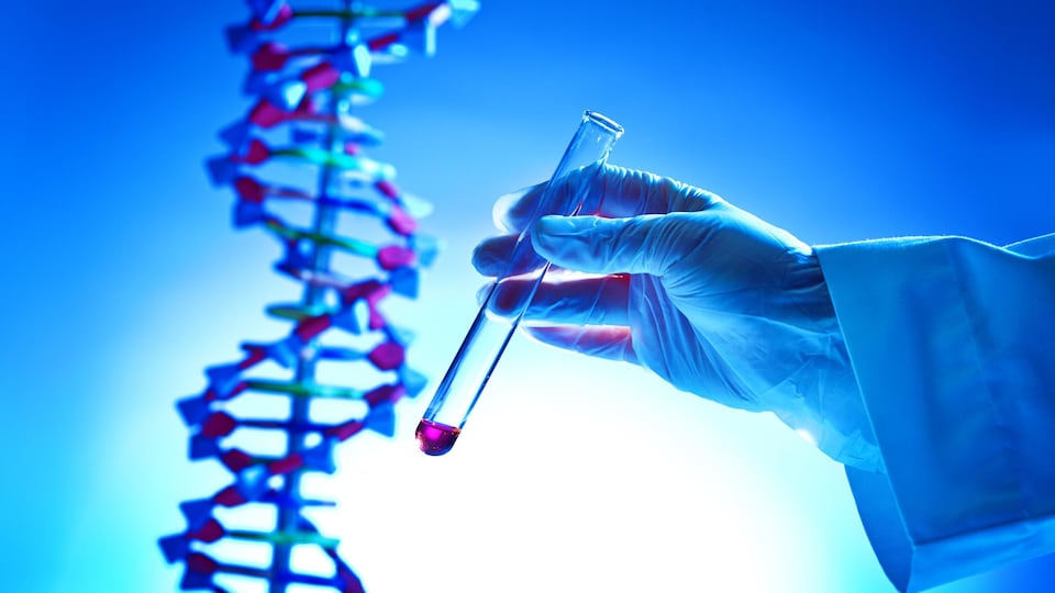Une personne qui manipule une éprouvette contenant un liquide effectue un test d'ADN.