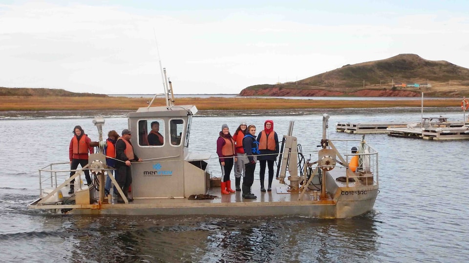 Des étudiants du Cégep de la Gaspésie et des Îles, campus des Îles-de-la-Madeleine, participent à des activités de recherches de Merinov sur une barge de l'institution.