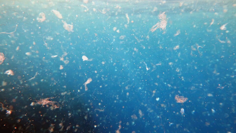 Photographie grossie de l'eau de mer remplie de microplastiques.