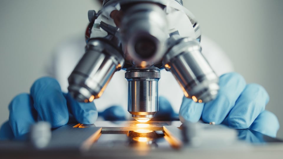 Un chercheur regarde dans un microscope.