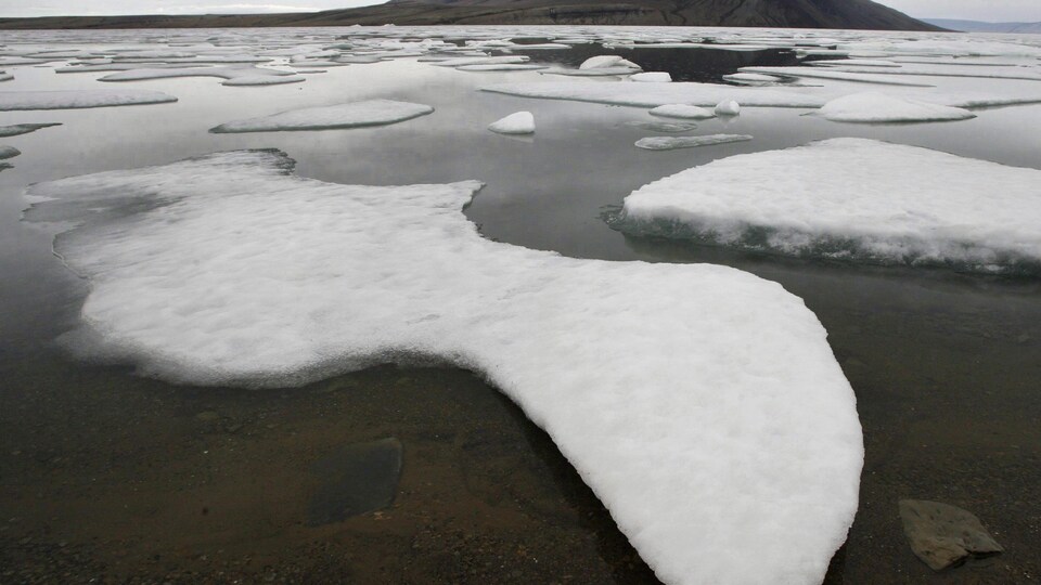 La glace flotte au abord de l'île d'Ellesmere, au Nunavut.
