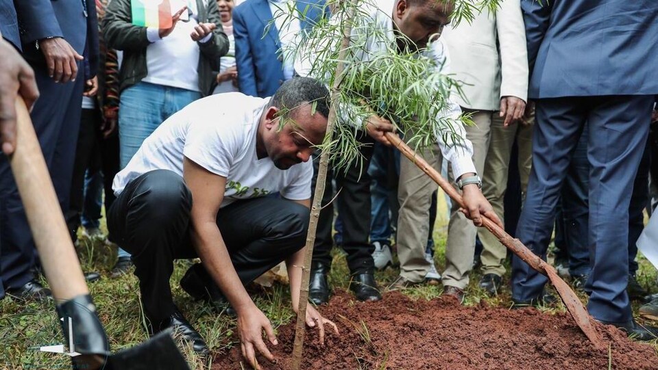 Le premier ministre éthiopien Abiy Ahmed accroupi, plantant un arbre, avec des hommes en arrière plan.