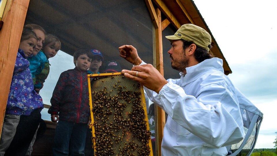 Miellerie de la Grande Ourse à St-Marc-de-Figuery (Abitibi) : on voit un apiculteur avec des abeilles et enfants