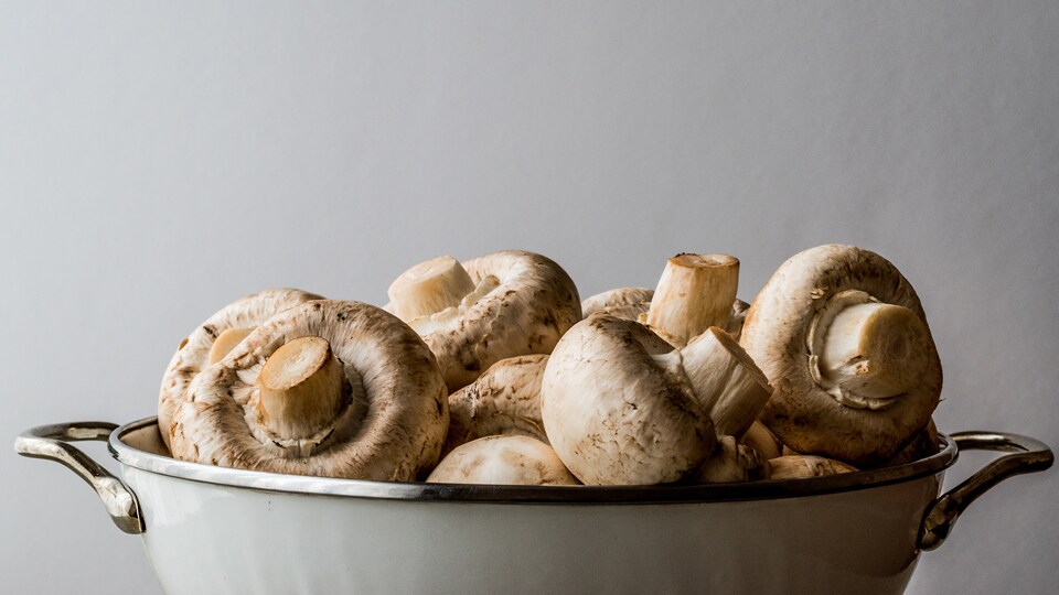 Bol rempli de champignons