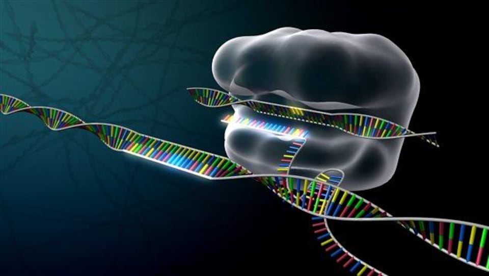 Image de synthèse représentant les ciseaux moléculaires CRISPR en action