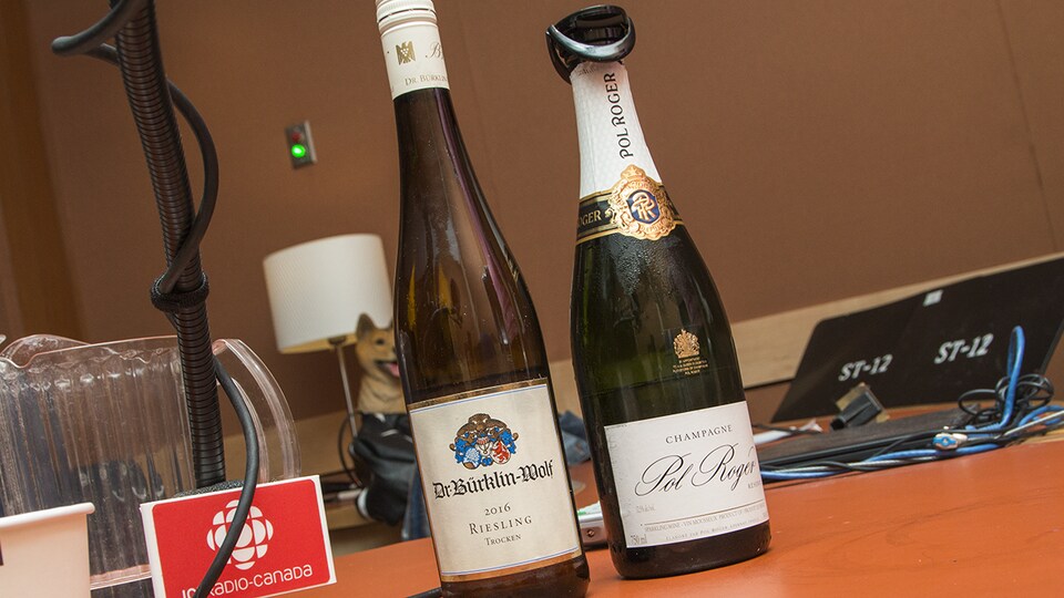 Gros plan sur deux bouteilles de champagne Pol Roger Brut et de riesling Dr. Bürklin-Wolf Trocken 2016 sélectionnées par Élyse Lambert