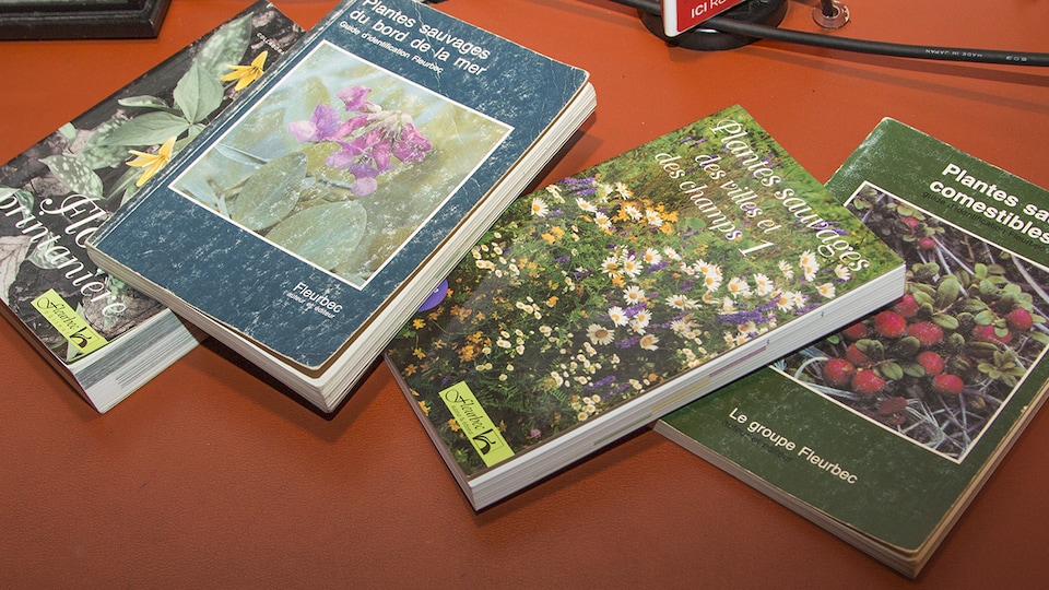 Couvertures de quatre guides publiés par Gisèle Lamoureux et le groupe Fleurbec.