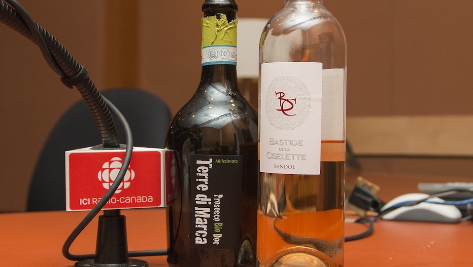 Gros plan sur les bouteilles sélectionnées par Élyse Lambert.