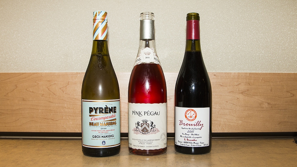 Les vins recommandés par Élyse Lambert cette semaine