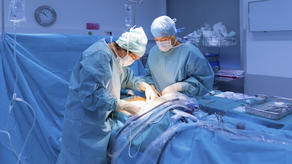 Deux médecins font une chirurgie dans une salle d'opération.