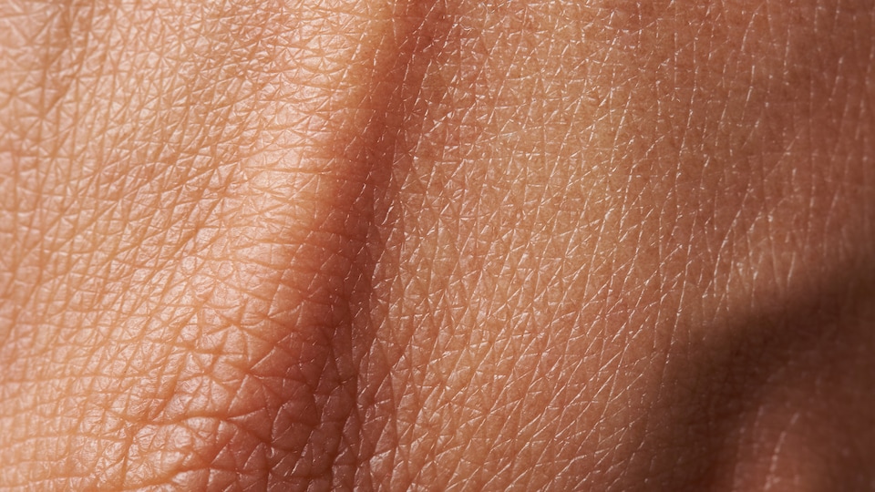 Gros plan sur de la peau humaine