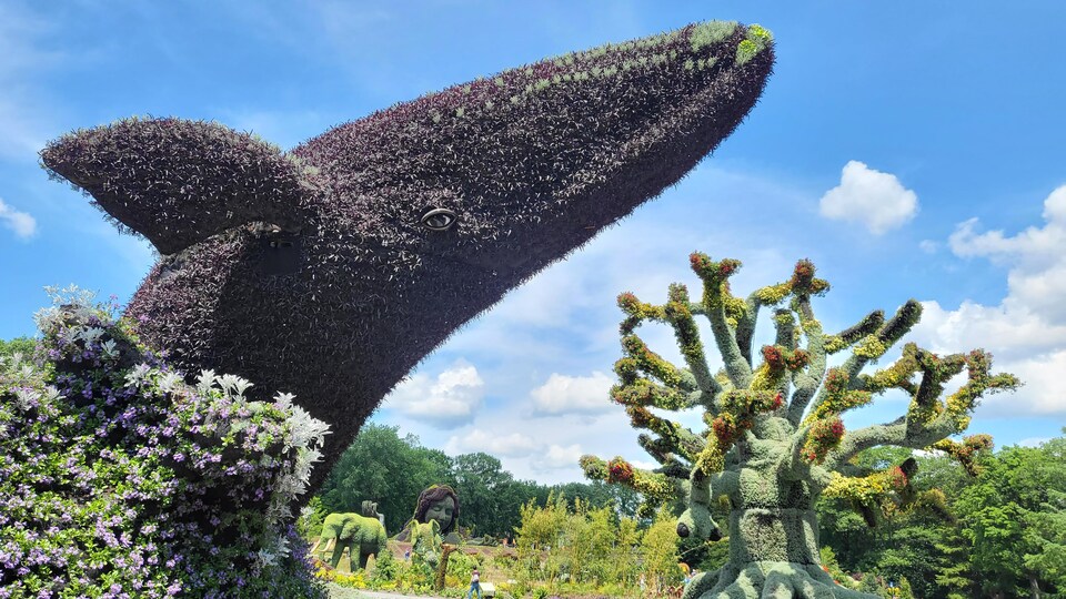 Sculpture horticole d'une baleine surgissant des flots.
