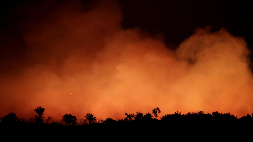Une forêt amazonienne est la proie des flammes.
