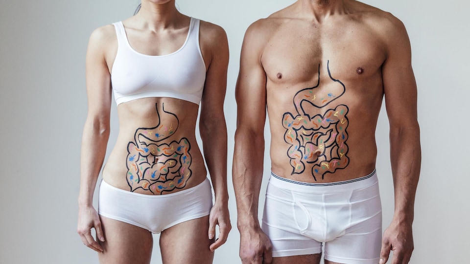 Une femme et un homme avec une illustration sur leur abdomen d'intestins avec des bactéries colorées.