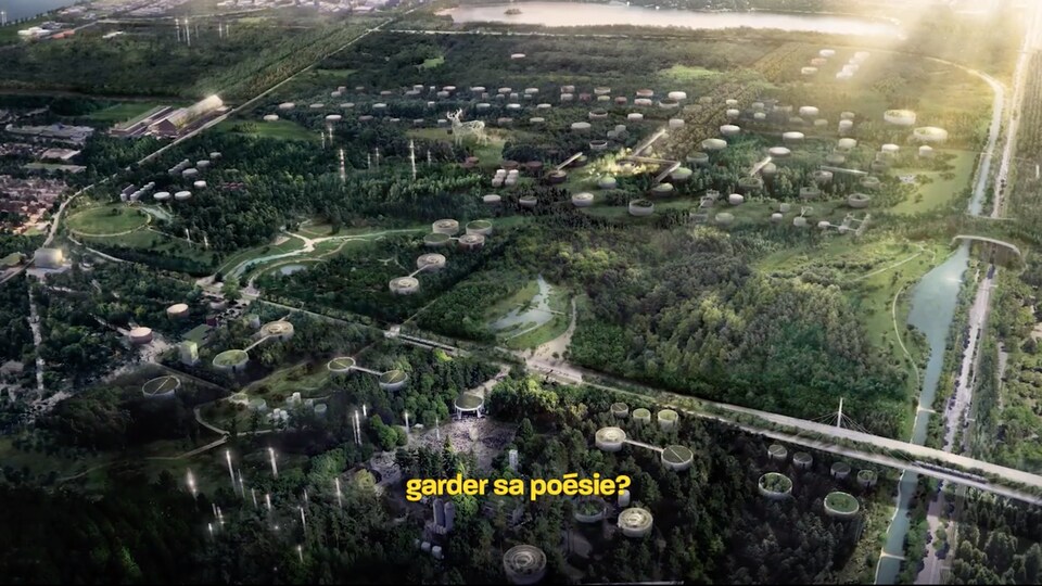 Image montrant une vue aérienne d'un grand espace boisé.