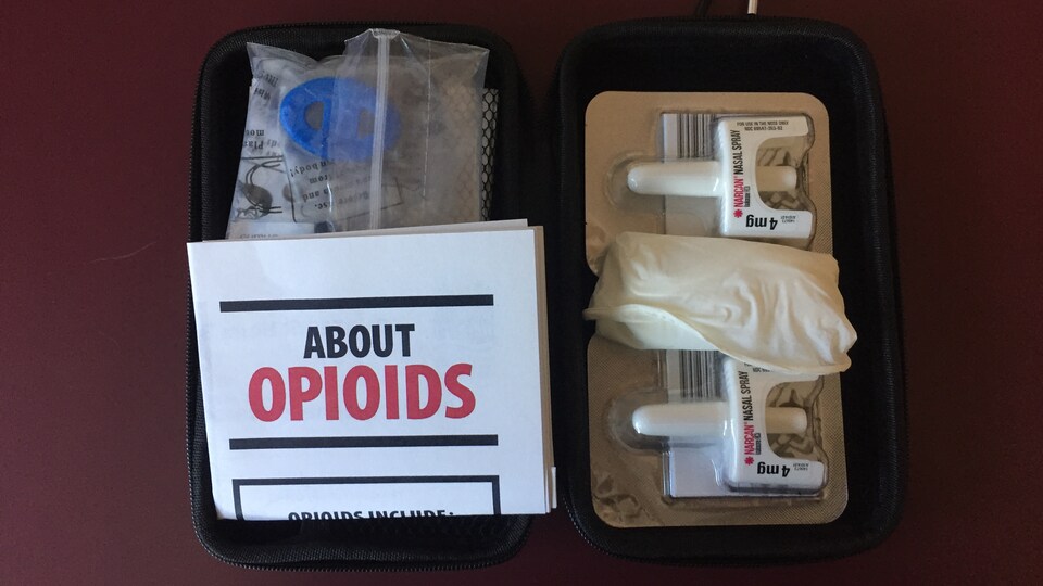 Trousse de vaporisateurs de naloxone